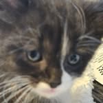 John Graff II - @johngraffii - Instagram
