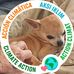 John Graham - Facebook