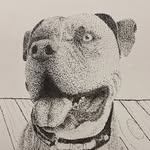 Jacob Sartorious - @john_grammatisucks - Instagram