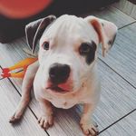 John Granado Capraro - @john.capraro - Instagram