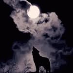 John Granlund - @granlundjohn - Instagram