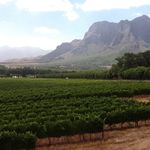 John Grant - @wine_escapes - Instagram