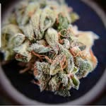 john grate - @johngrate65 - Instagram