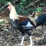 @john.greaney.393 - Instagram