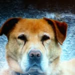 John Greaney - @johnpgreaney1 - Instagram