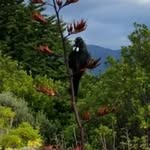 John Greaney - @john.greaney.71 - Instagram