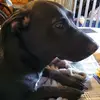 John Greene - @john.greene21 - TikTok