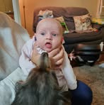 John Greenfield - Facebook