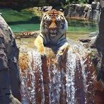 John Greenhalgh - @johndavidgreenhalgh - Instagram