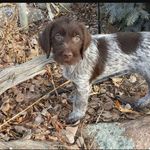 John - @john_greenhalgh_ - Instagram