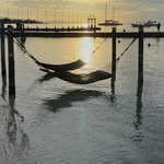 John Greening - @john.greening.35 - Instagram