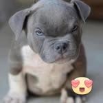 John Greenough - @john.greeno.609 - Instagram