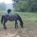 John Greer - Facebook
