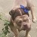 John Gregory - Facebook