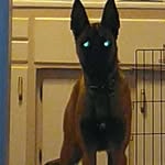 John Grein - @highpointk9s - Instagram