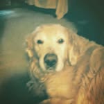 christopher john greiner - @shadowkn1ght - Instagram