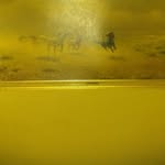 John Grenard - @grenardjohn - Instagram