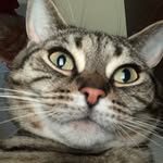 John Gribben - @janaks10705 - Instagram