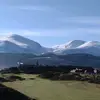 johngribben625 - @johngribben625 - TikTok