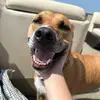 John Griffith - @john.griffith41 - TikTok