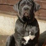 John Griffiths - @john.griffiths.984 - Instagram