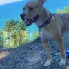 johngrimes5906 - @johngrimes5906 - TikTok