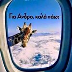 John Grimanis - @johngrimanis - Instagram