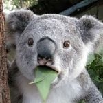 John Grimley - @jgrimley1971 - Instagram