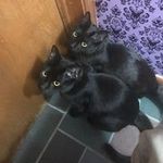 John Grimley - @grimley.john - Instagram