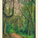 John Grimshaw - @grimshawjohn - Instagram
