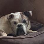 John Groch - @johngroch - Instagram