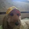 John Grochowski - @johngrochowski2 - TikTok