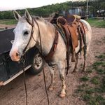 Travis John Carlos Grohman - @travgro - Instagram