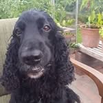 John Grønvaldt - @johngronvaldt - Instagram