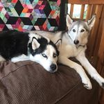 John Gronert - @gronertjohn - Instagram