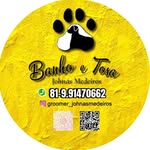 Banho Tosa Johnas Medeiros - @groomer_johnasmedeiros - Instagram