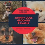 Johnny Dogs Groomer Panama - @johnnydogsgroomerpty - Instagram