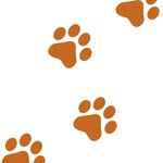 Pets Groomer John - @petsgroomerjohn - Instagram