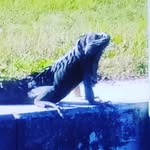 John Gros - @gros8006 - Instagram