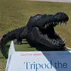 John Gross - @john.gross761 - TikTok
