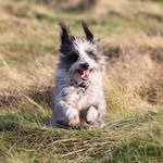 John Grossick - @johngrossick - Instagram