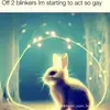 john.gross77 - @john.grosss77 - TikTok