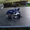 John Grosch - @john.grosch - TikTok