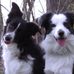 John Grosse - Facebook