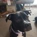 John Grosse - Facebook