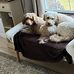 Jon Groninger - Facebook