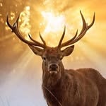 John Groundstroem - @johngroundstroem2 - Instagram
