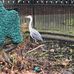 John Innes Recreation Ground - Facebook