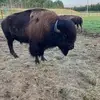 John H - @john.grower1 - TikTok
