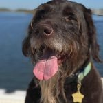 John Growney - @johngrowney - Instagram